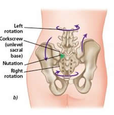 sacrum during gait