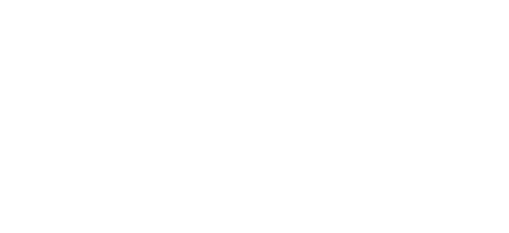 theCoreLogo white