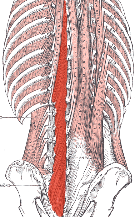 pilates for back pain